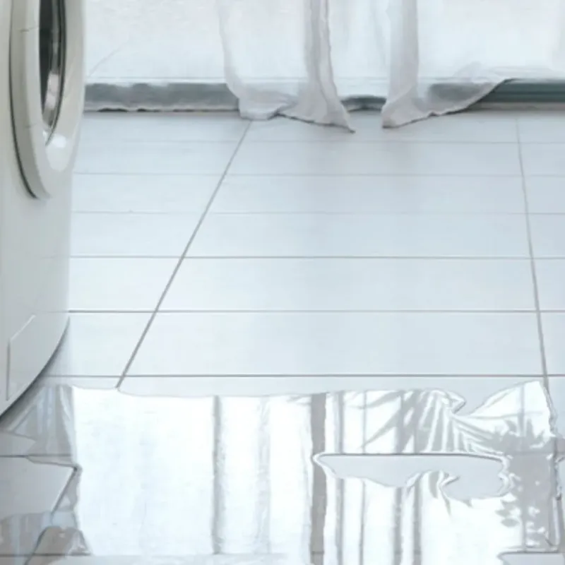 Appliance Leak Cleanup in Chelan, WA