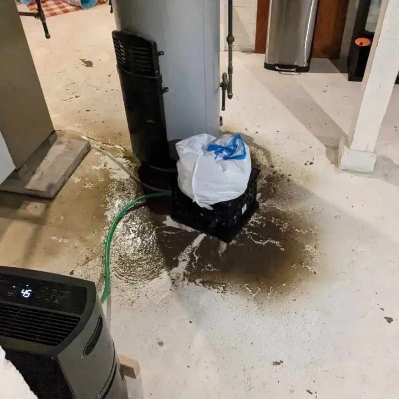 Sewage Backup Cleanup Service in Chelan, WA